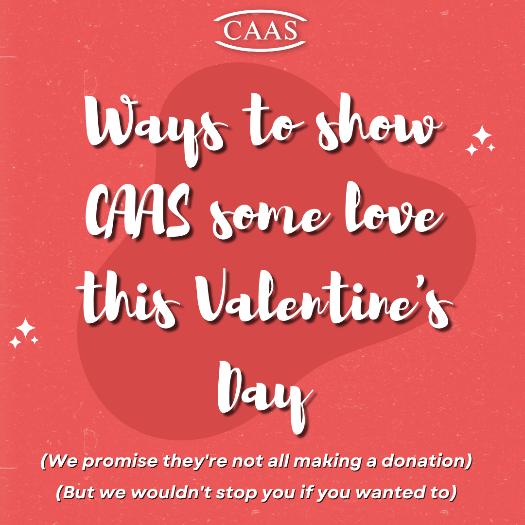 Ways to Show CAAS Some Love This Valentine's Day