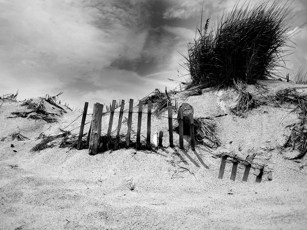 Black and white photograph of a destroyed wooden fence on a sand dune.