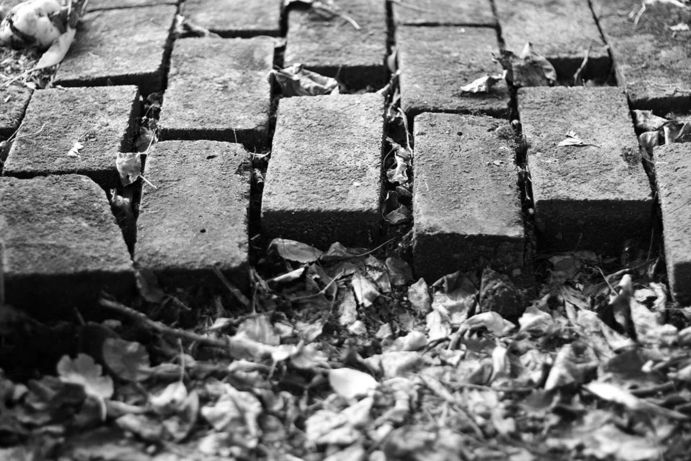 Black and white photo of a brick pathway coming to an abrupt end.