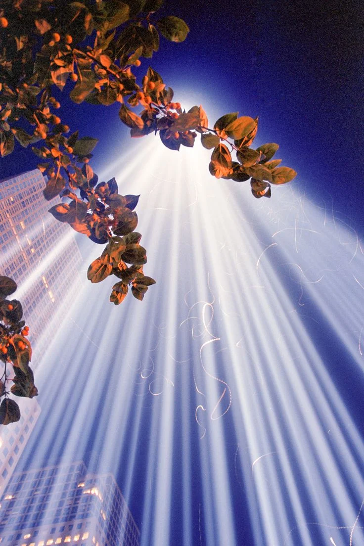 The Tribute in Lights at the former site of the World Trade Center in New York City, photographed on Fuji Superia Reala film. The swirling white lines are birds and insects attracted to the light.