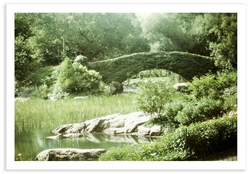 I love this photo of the Gapstow Bridge. It makes me think of what New York would look like if the city was abandoned. Central Park is one of the rare places in Manhattan where you can find yourself completely alone.