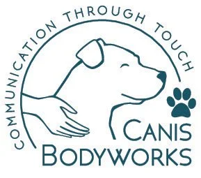 CB_logo_Teal(1).jpeg