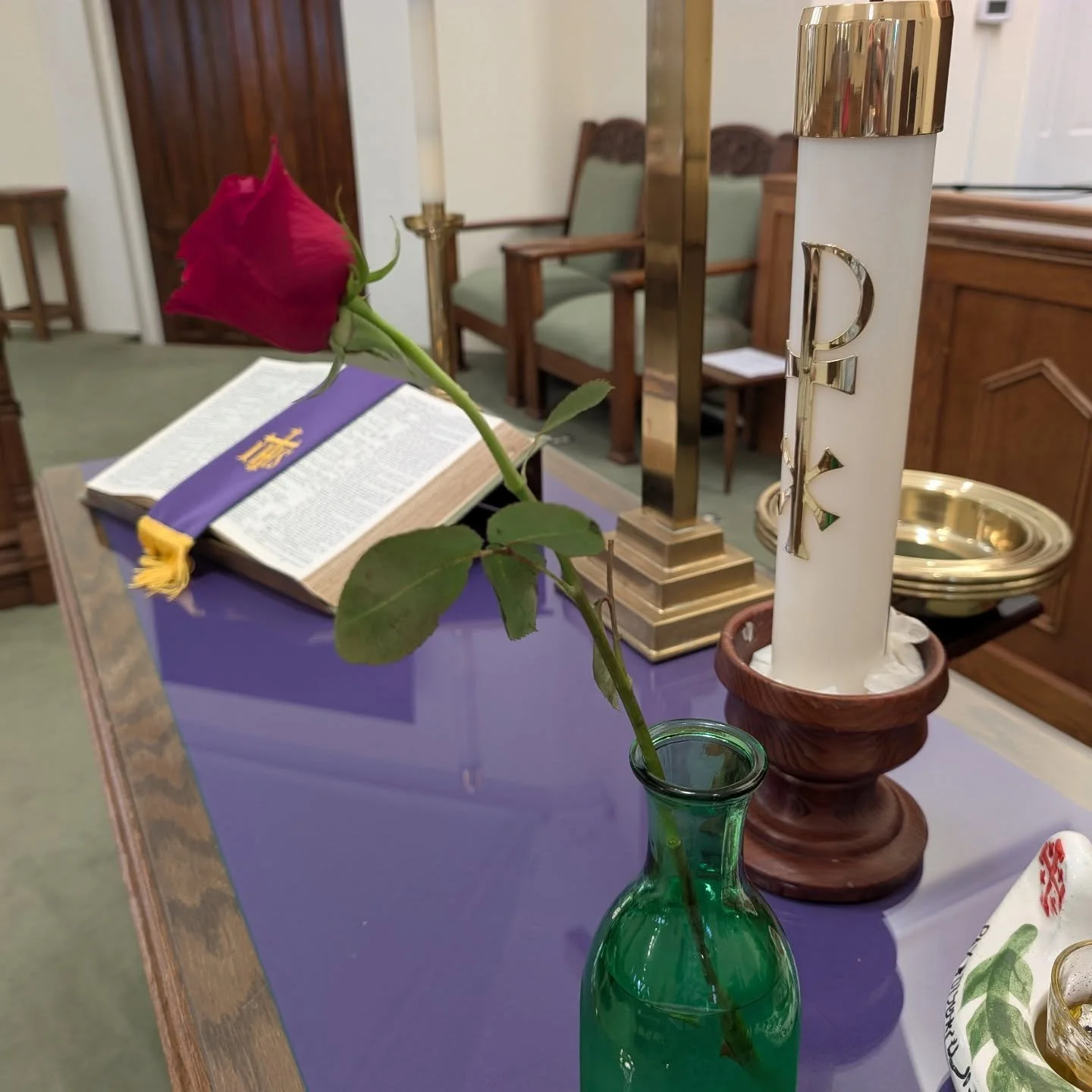 On Laetare Sunday, Gadsden Street gets to celebrate with a rose! Welcome to the world, new baby Geeker. You are going to love it here. Easter is coming!