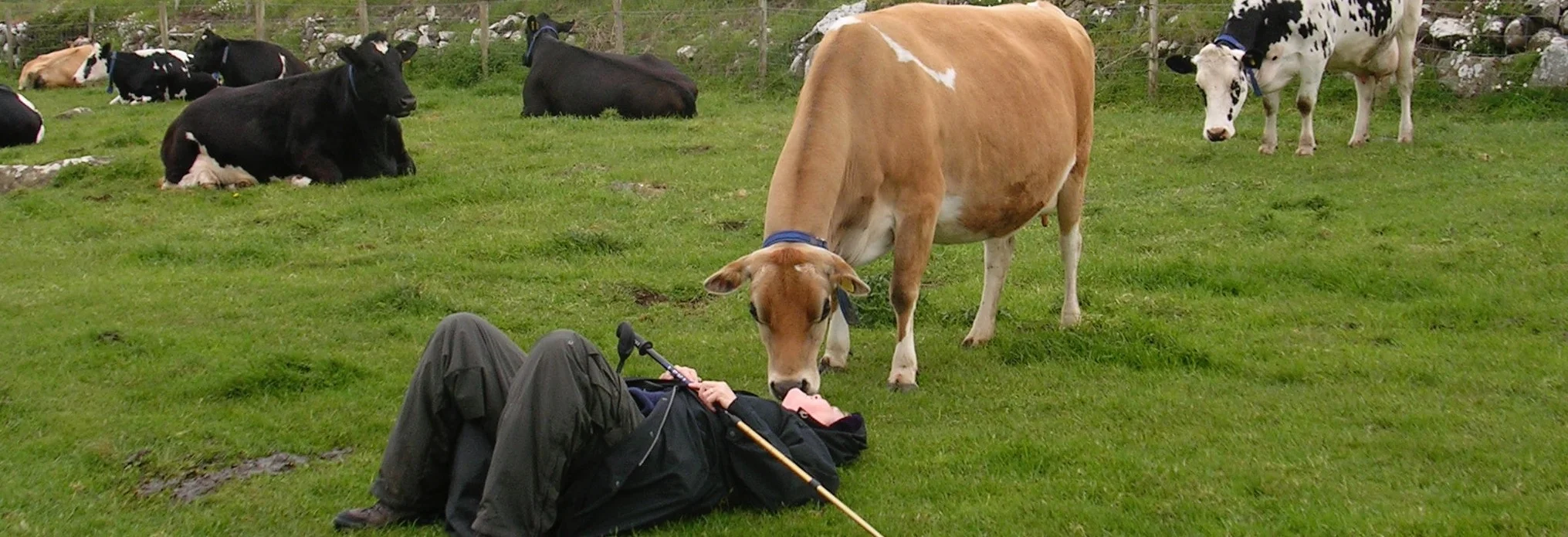 DSCN2303 cropped.jpg