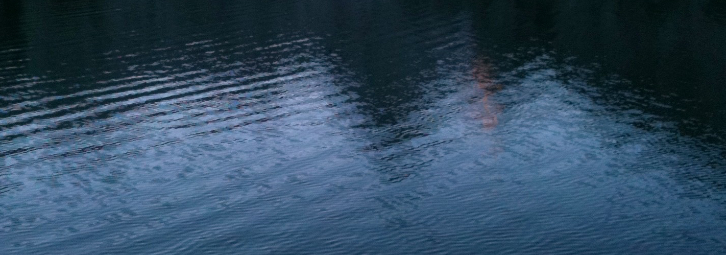 I Phone Download 323 cropped.jpg