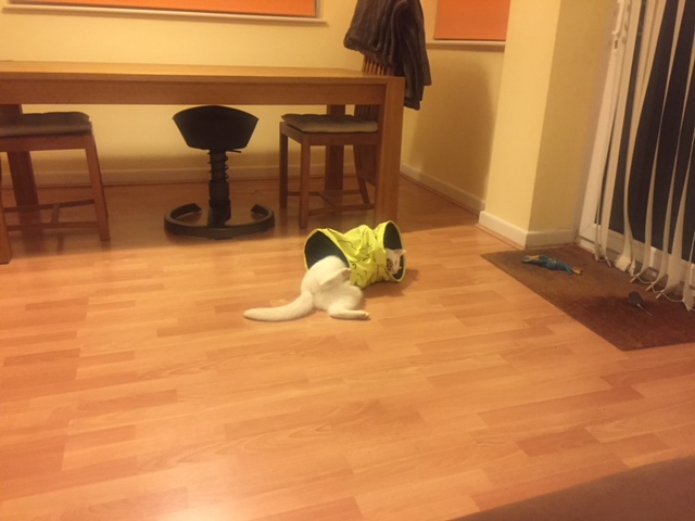image2.jpeg