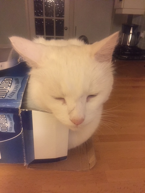 image9.jpeg