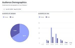 Social T Audience.jpg