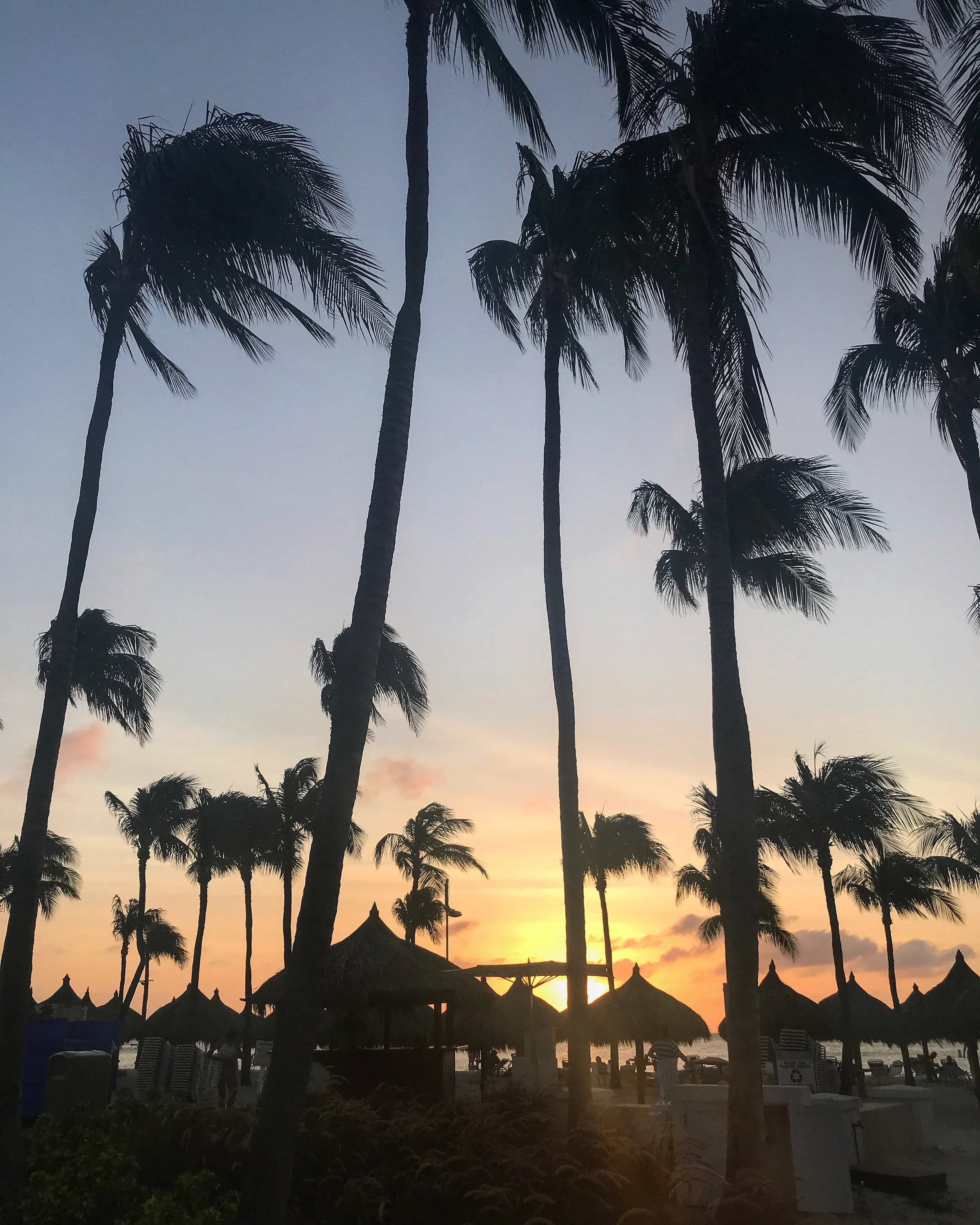 10 Reasons Why You Should Visit Aruba This Winter