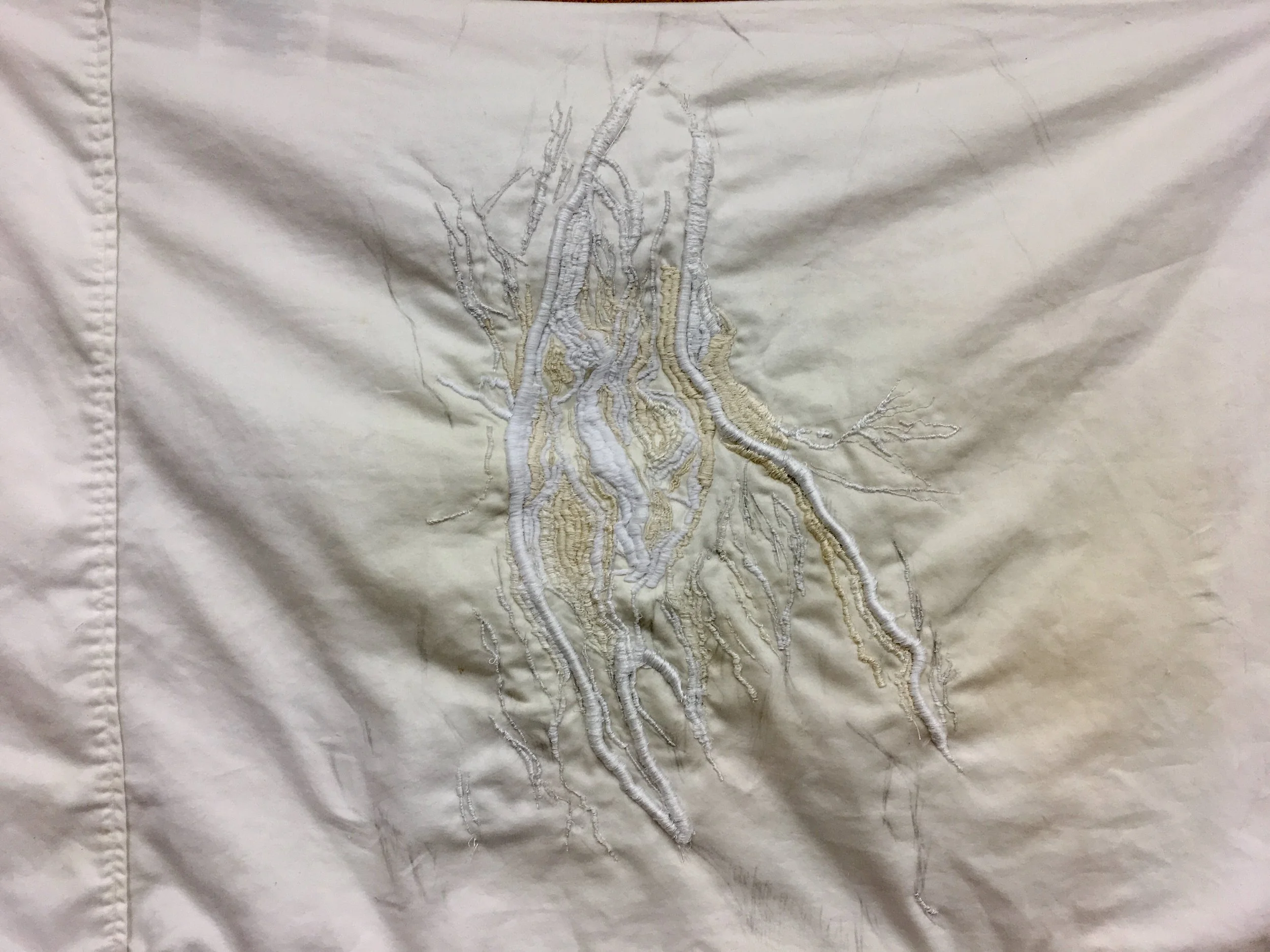 Back Sleeper, 2017