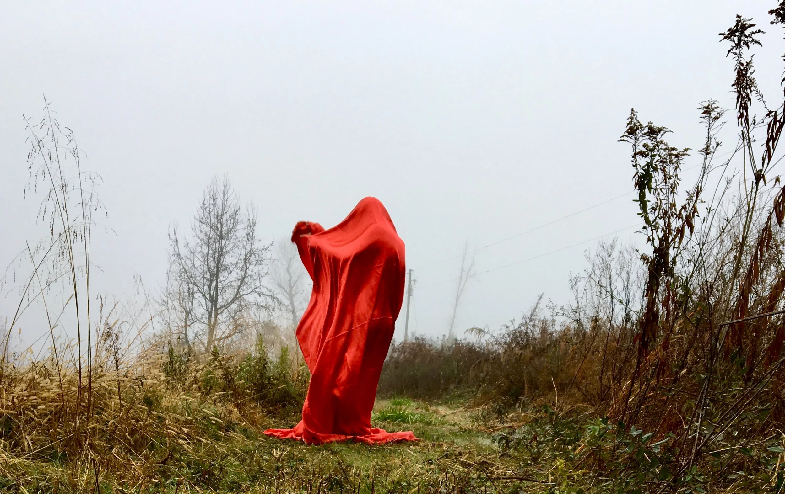 Cutting Through the Fog Like a Knife, Blountsville, AL, 2017