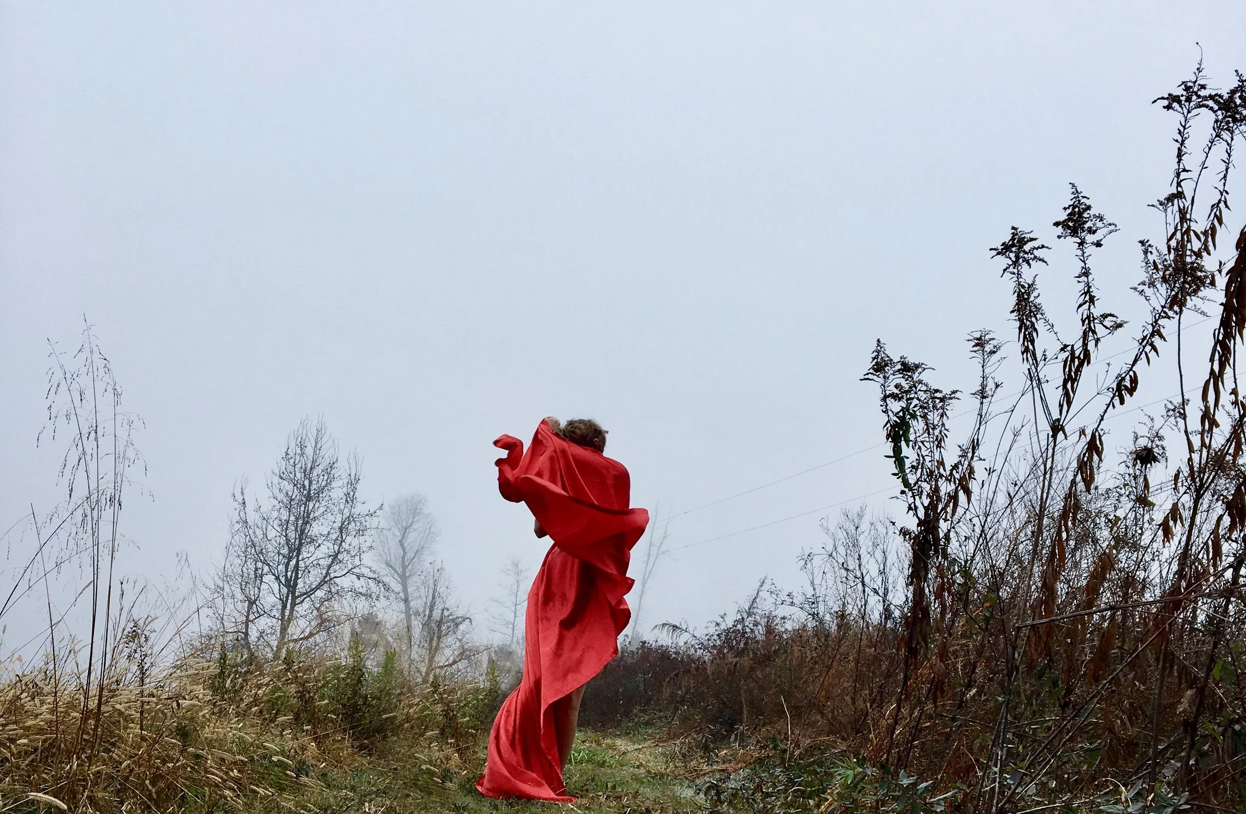 Cutting Through the Fog Like a Knife, Blountsville, AL, 2017