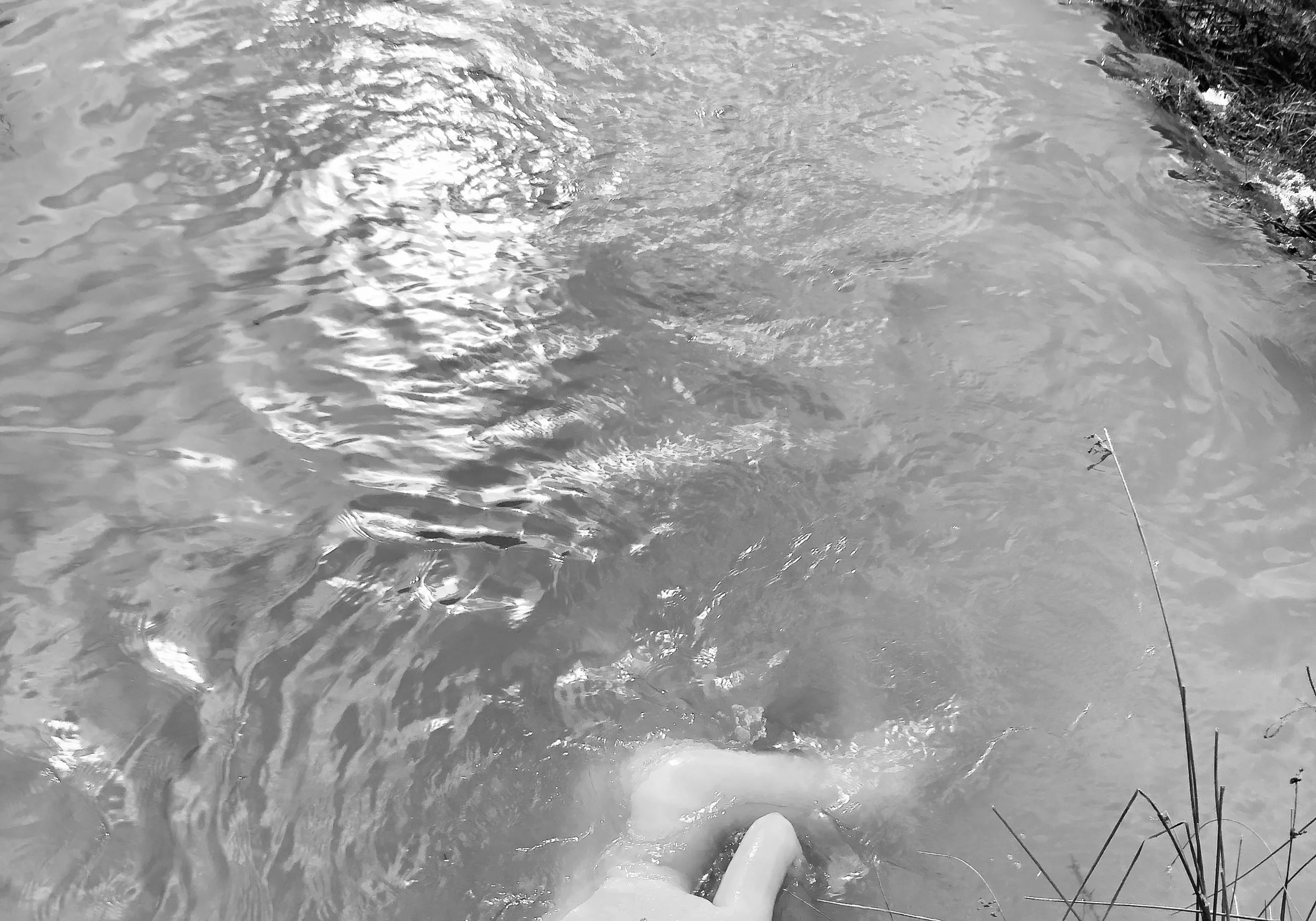 Bodies in the Landscape, December 2018