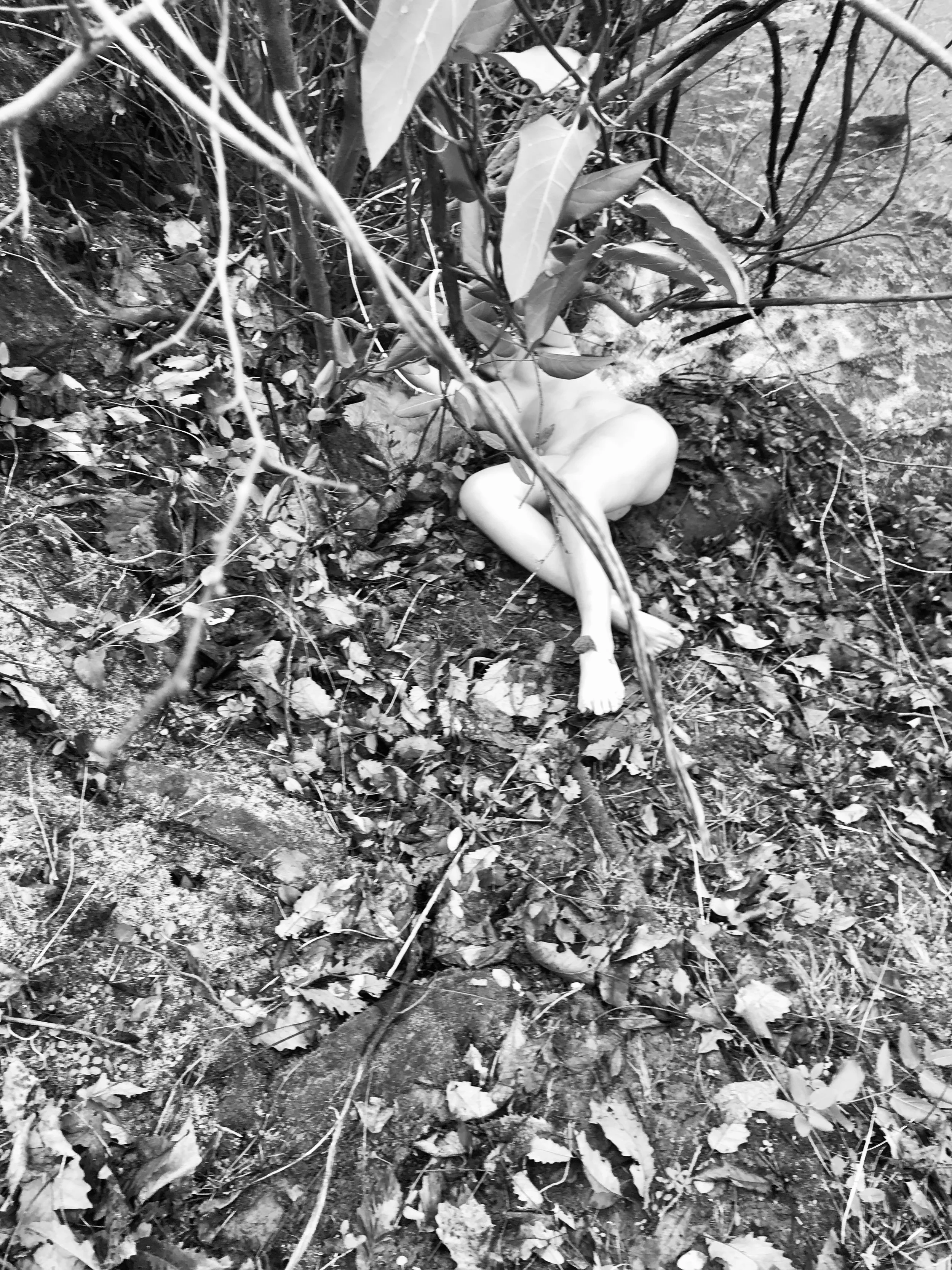 Bodies in the Landscape , December 2018