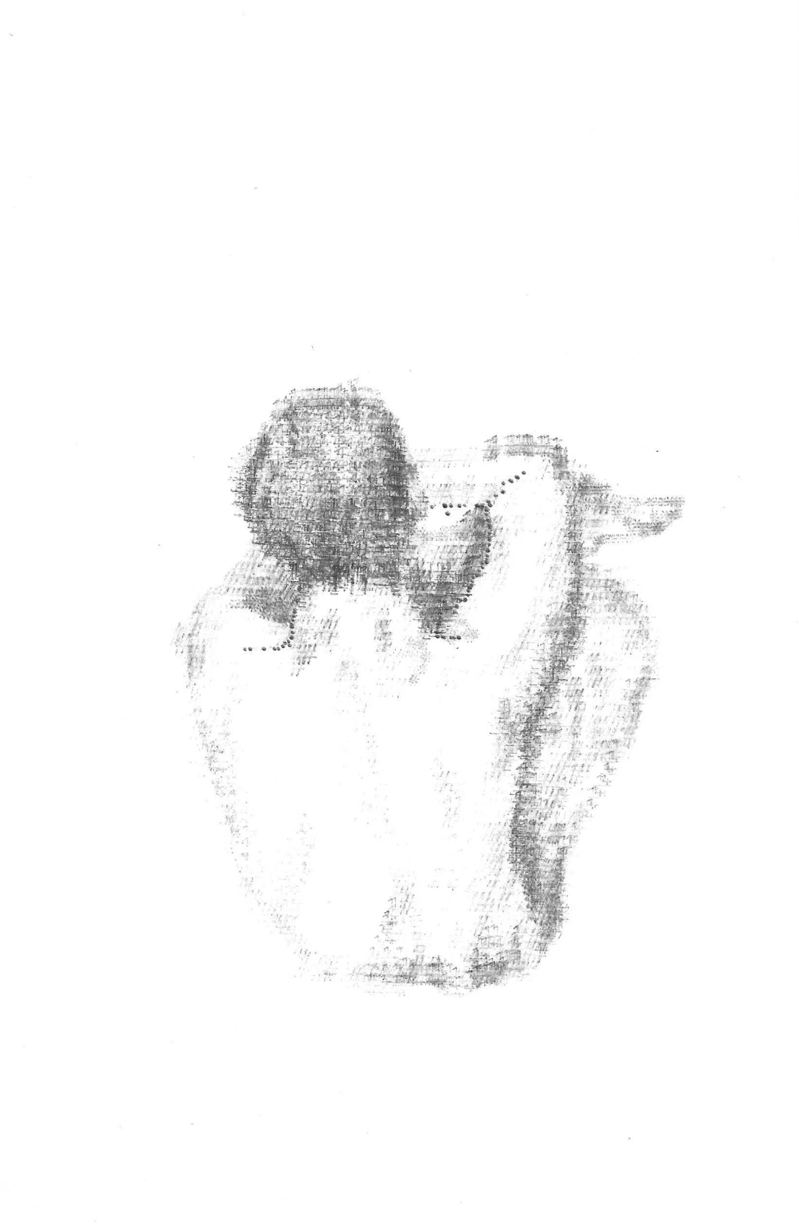 scan0004.jpg