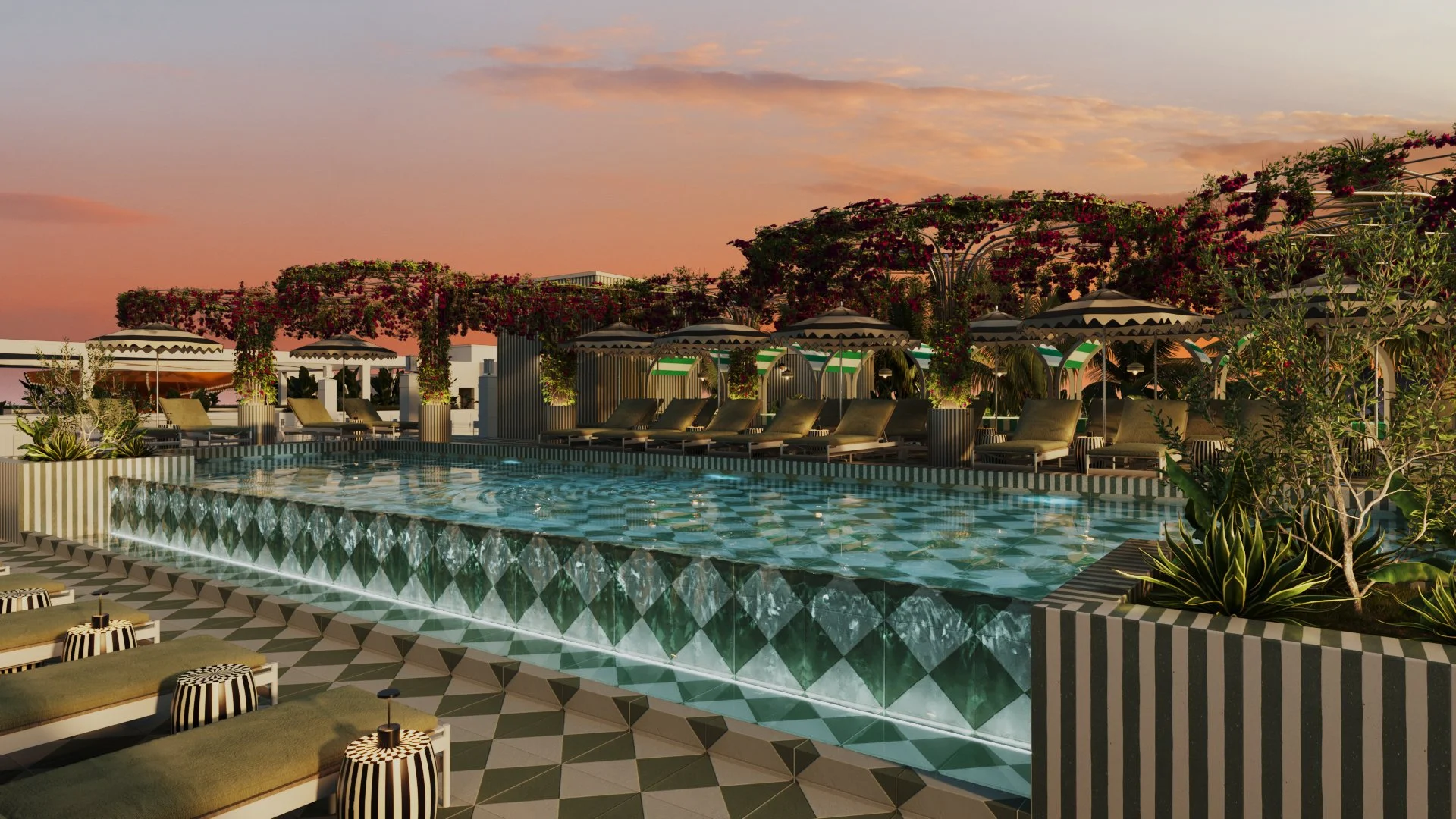 EOA - Curio Savannah4.jpg