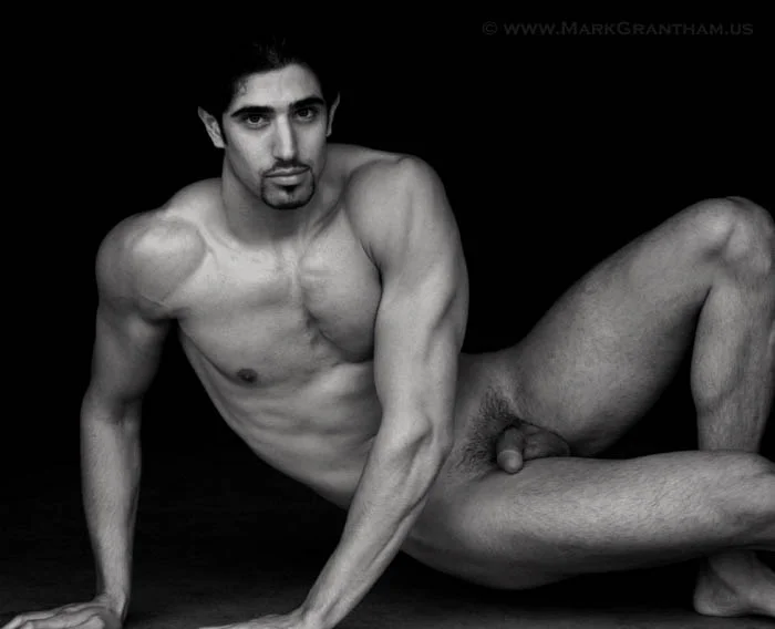 Shahin - 127e2o.jpg