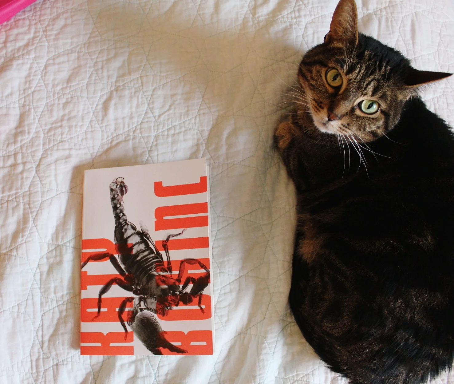 Soup posing with SCORPIO by Katy Bohinc (Miami University Press, 2018)