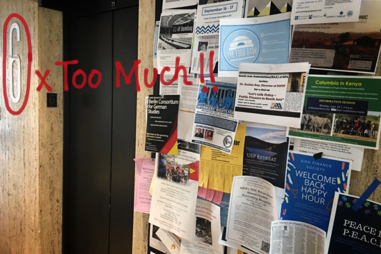 An Open Letter to First-Years