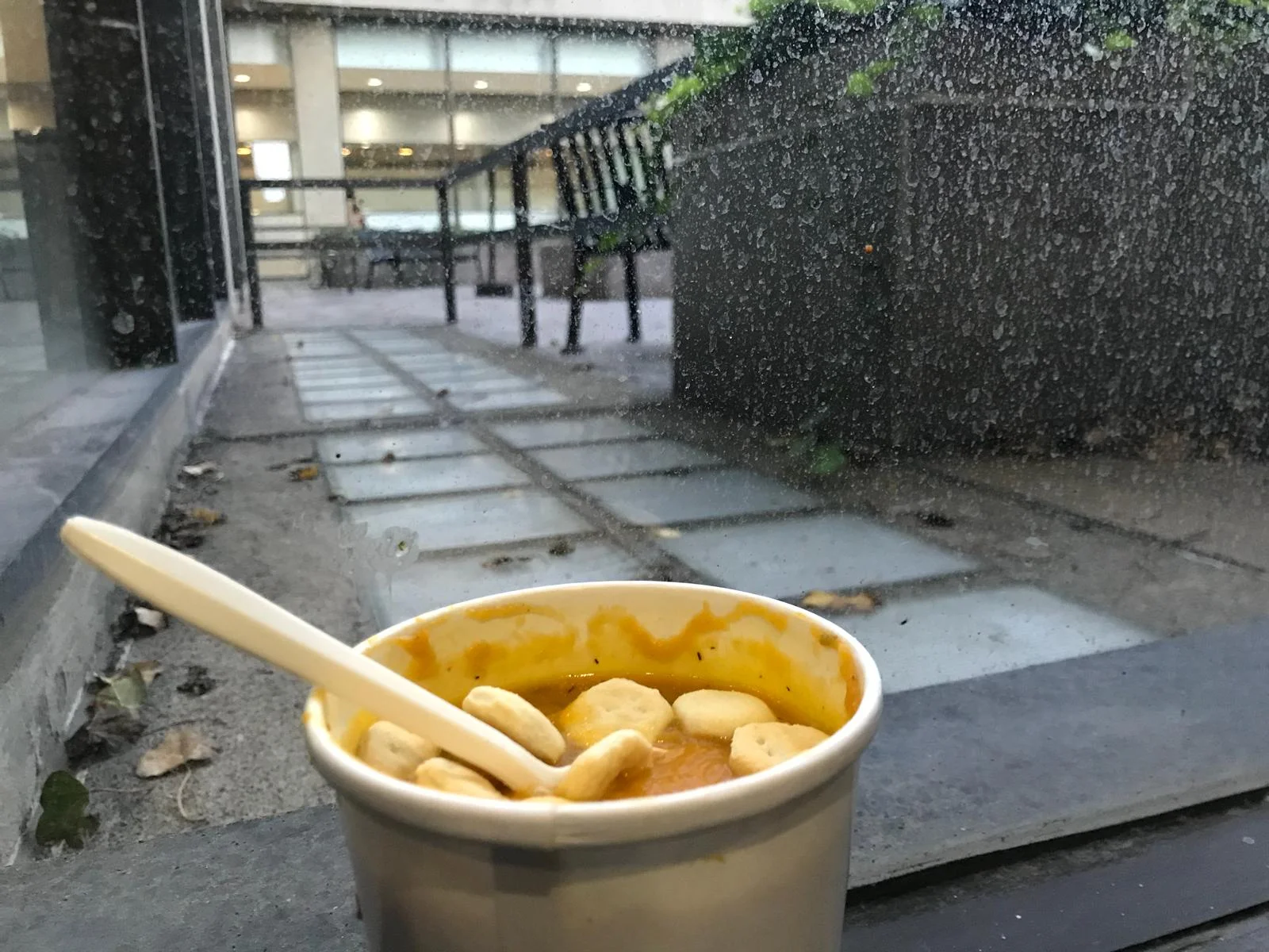 SOUPASA: New Soups to Try on Campus this Semester