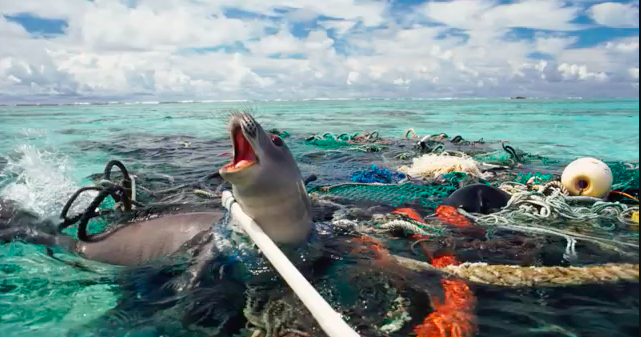 Turning Plastic into Policy