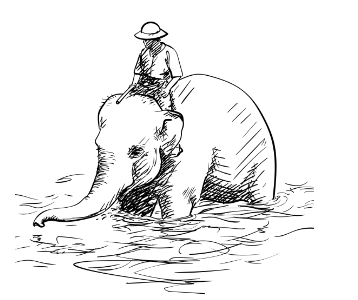 Elephants, Camels, and Tigers. Oh My!