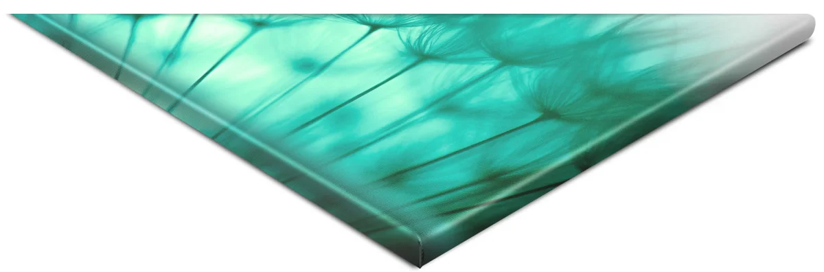 fotoleinwand_01.jpg