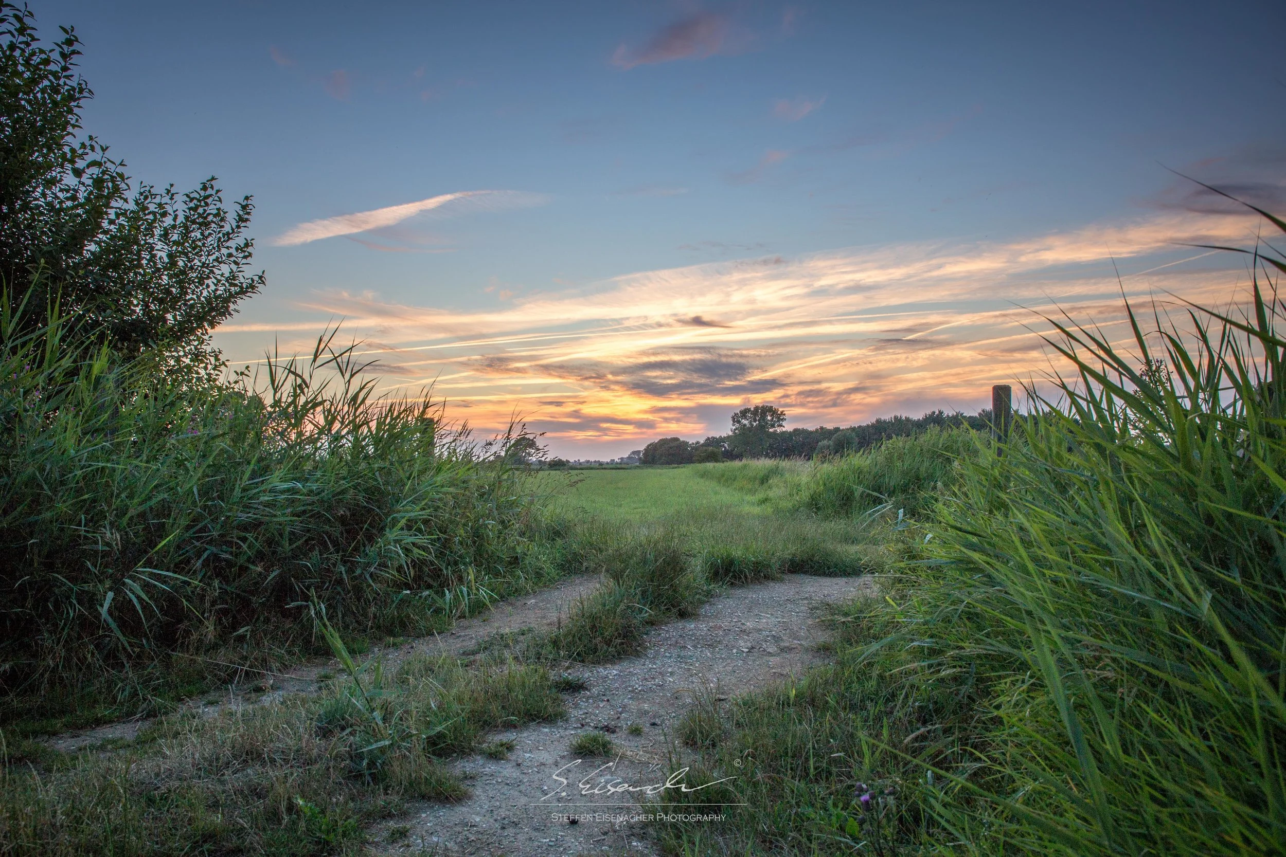 30 second quick edit in Lightroom. RAW Power. With Jpeg you wouldn't have been able to recover the shadows this good.