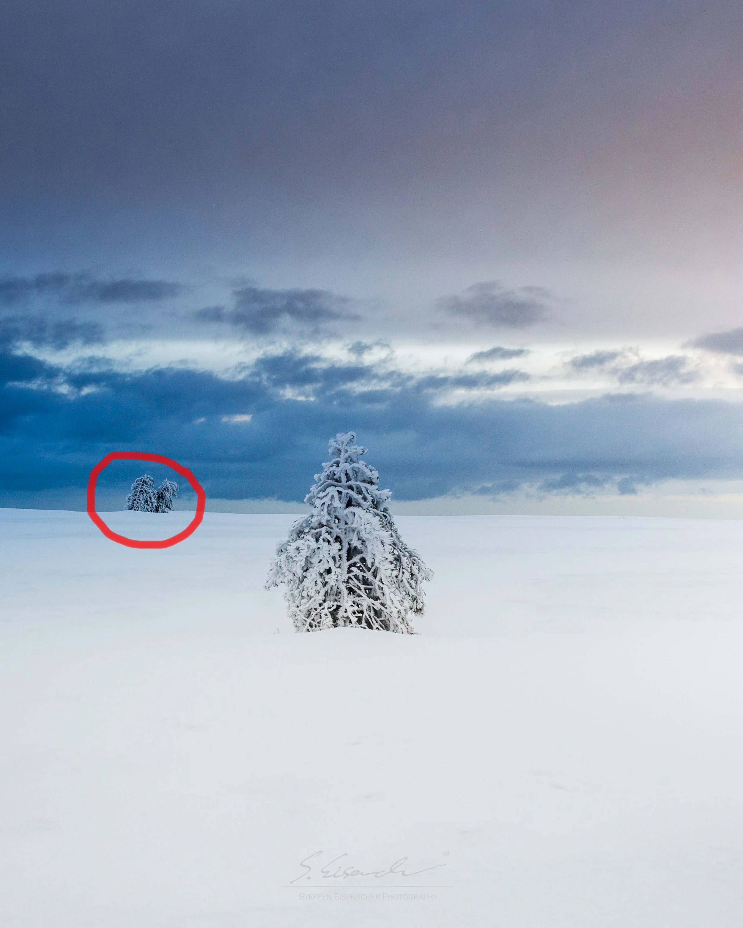 I found the tree in the background to be distracting my minimalistic composition....
