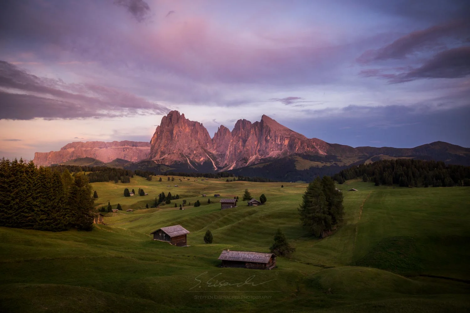 ALPS_IMG_4317.jpg