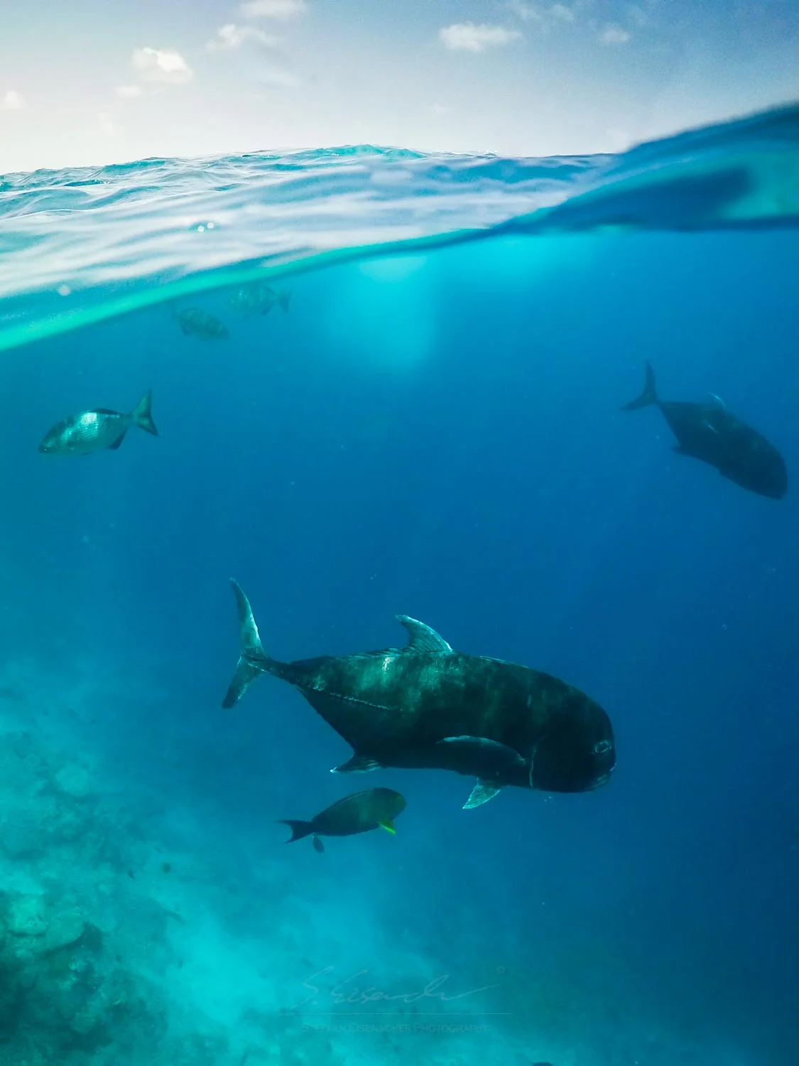 MALDIVES_G0883792.jpg