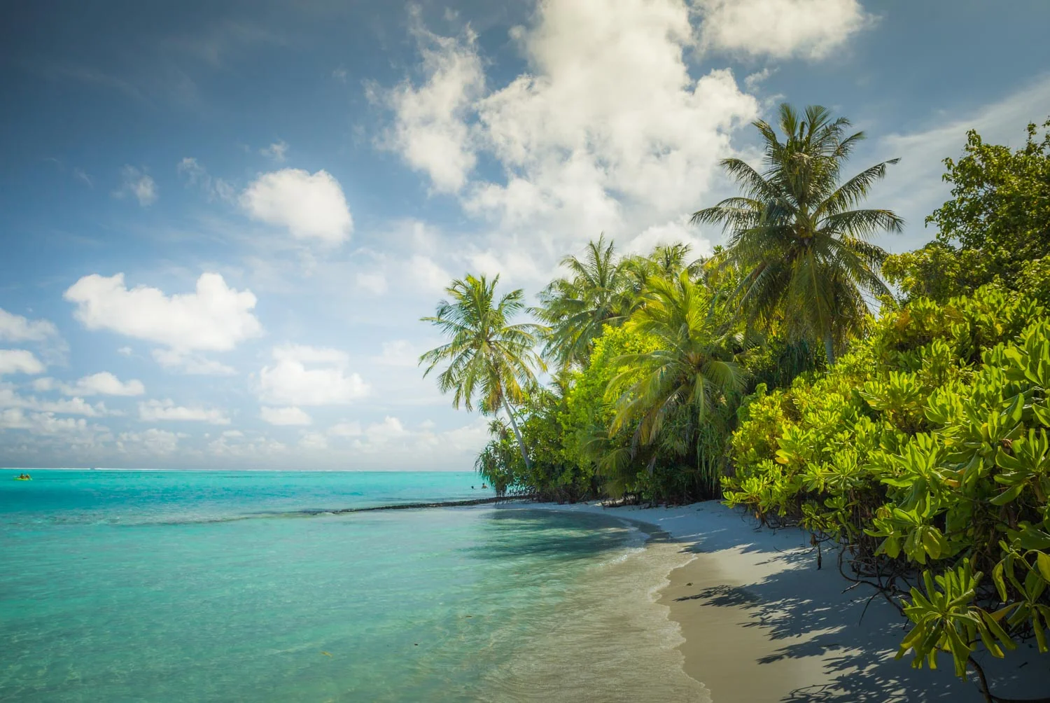 MALDIVES_IMG_3950.jpg