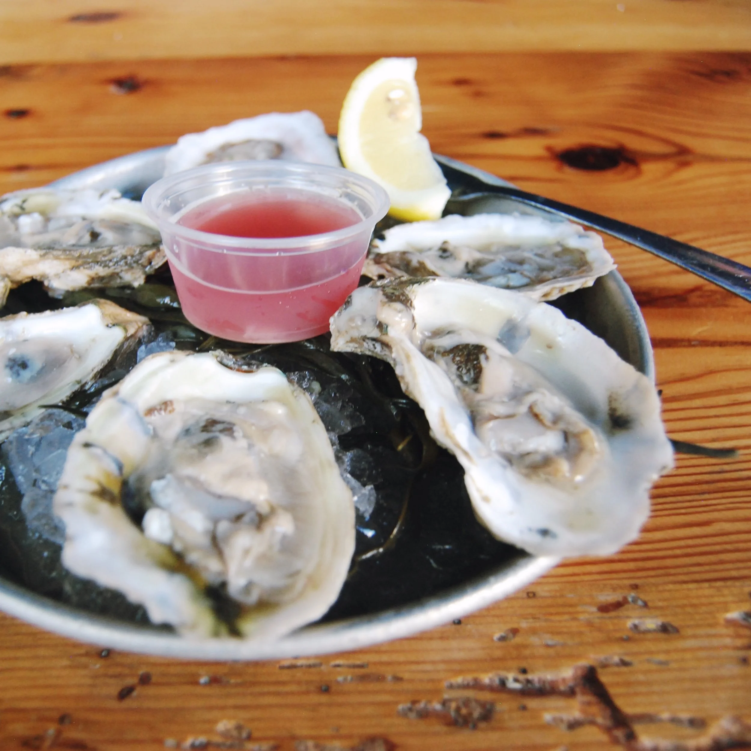 Press — SCALES & SHELLS