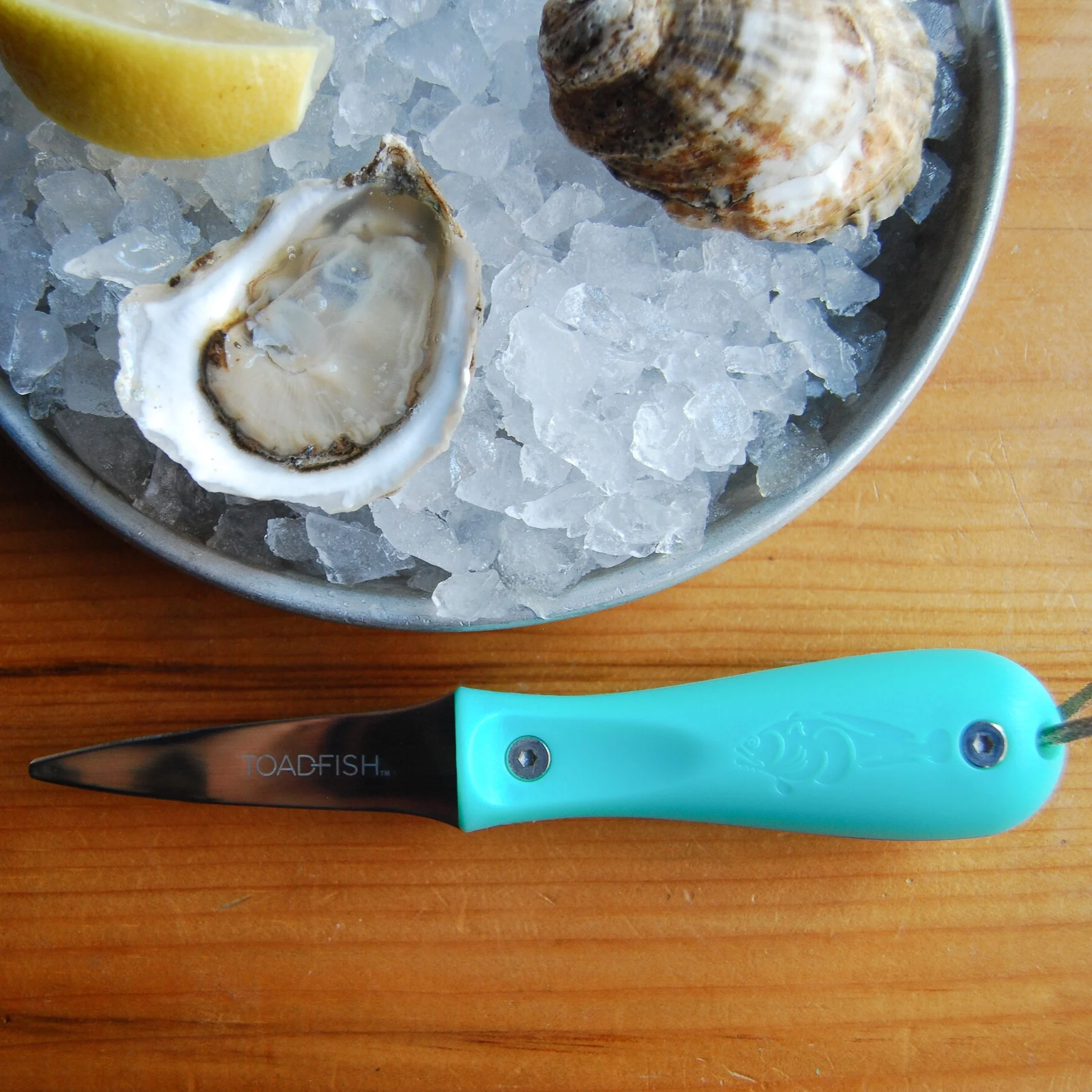 Toadfish Oyster Knife