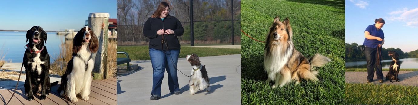 Obedience Banner.JPG