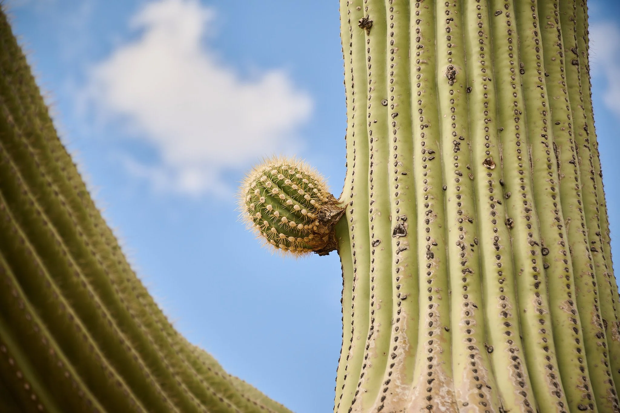 2025-10-11 16.22.34 - TZ8_6603.jpg