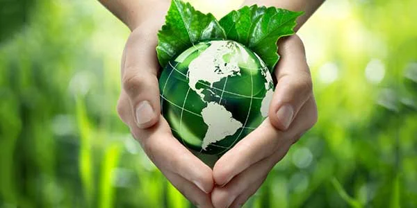 June 5 | World Environment Day Event 
