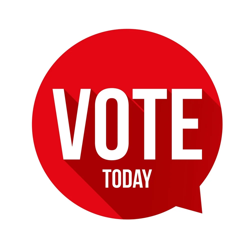If you don't do anything else today, VOTE! 