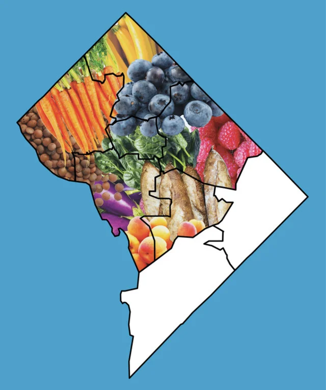 Illustration by Stephanie Rudig for the Washington City Paper