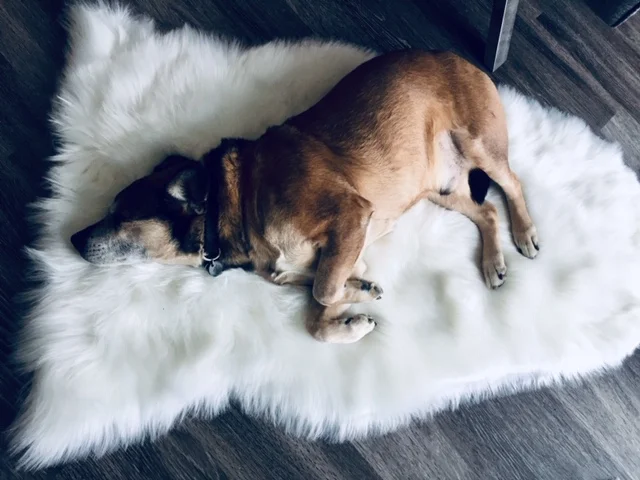 On the mend