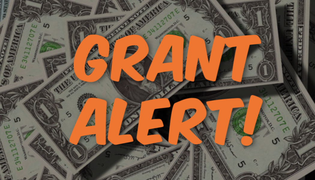 2019 - 2020 YSA Lead Agency Grants for Youth Volunteers
