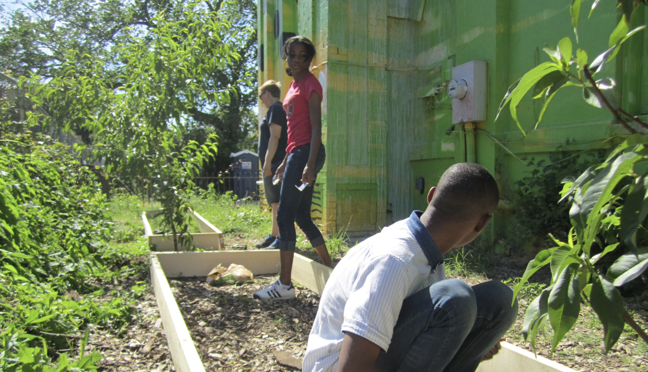Wednesdays at 3:30pm Volunteer at The Farm at Kelly Miller
