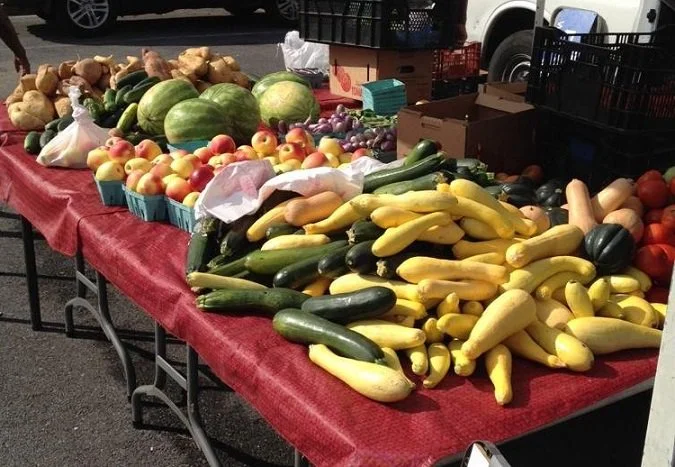 Ward 8 Farmers Market returns June 1st at MLK Elementary School
