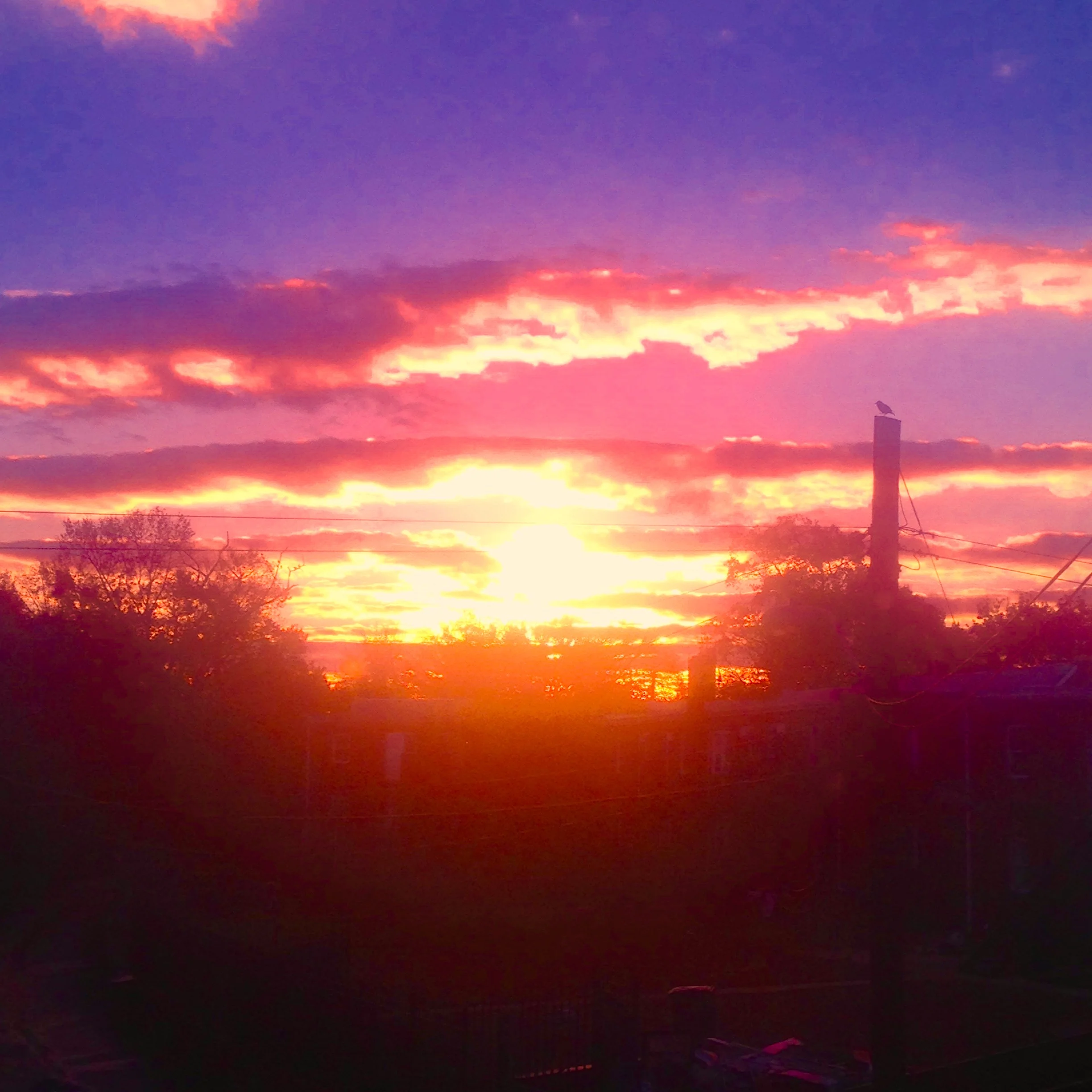 Sunrise in Congress Heights by Ciatta J.