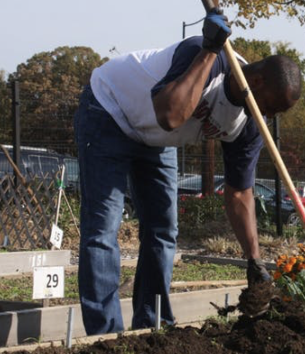 May 30 | P.R. Harris Urban Food Hub Build Day - Free event! 