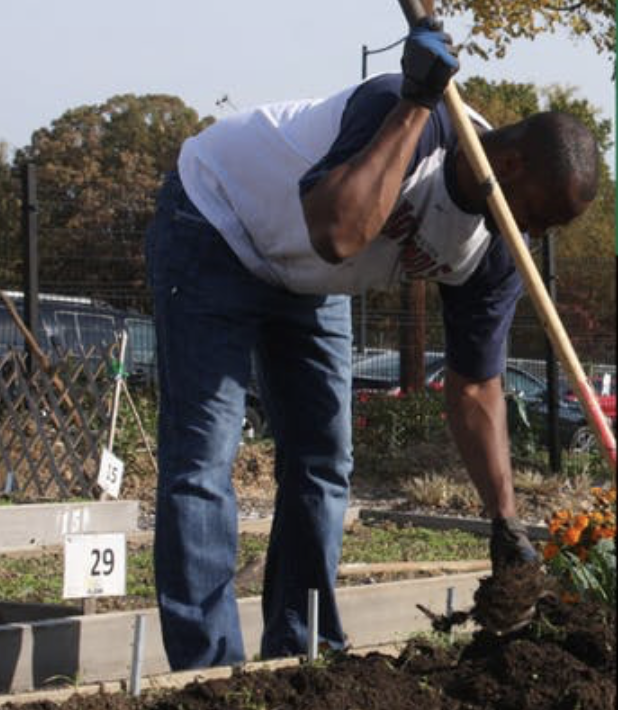 June 13 | P.R. Harris Urban Food Hub Build Day