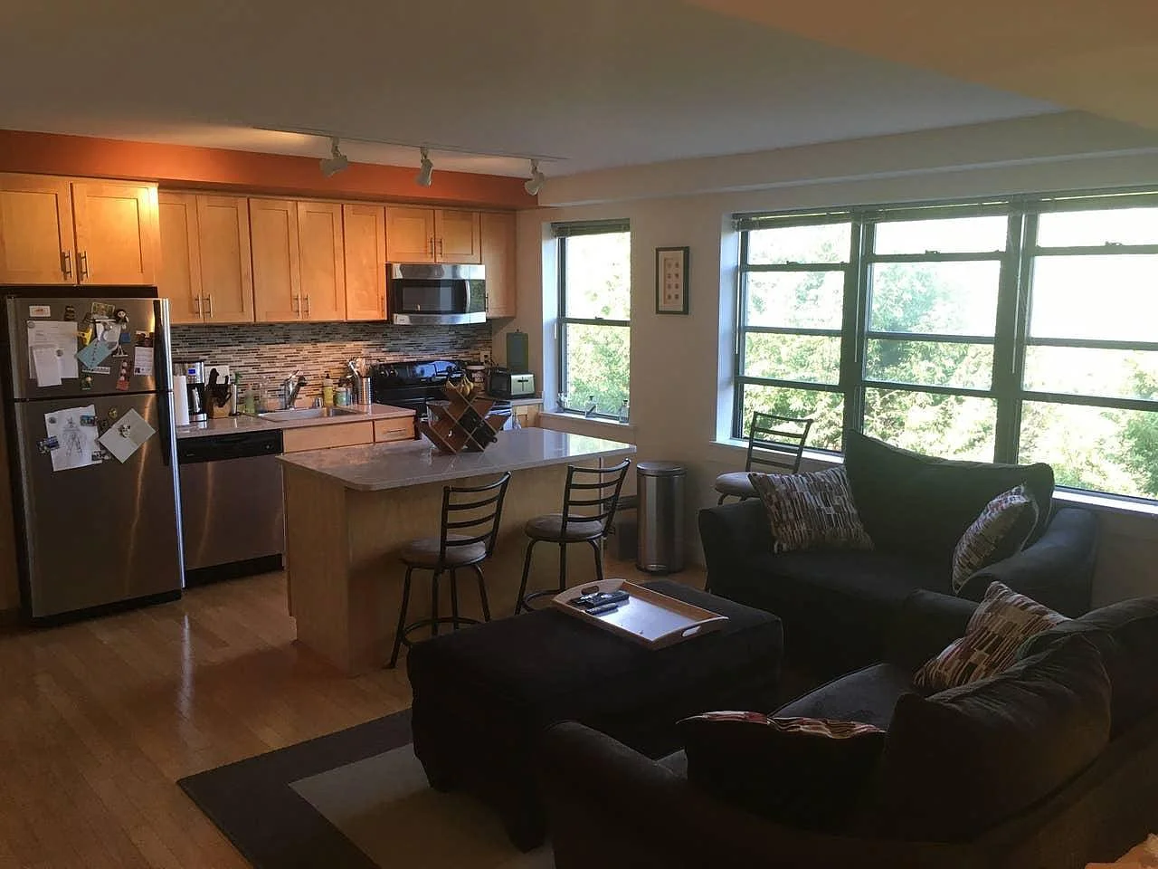 210 Oakwood Street, SE #301 - $1,500/month