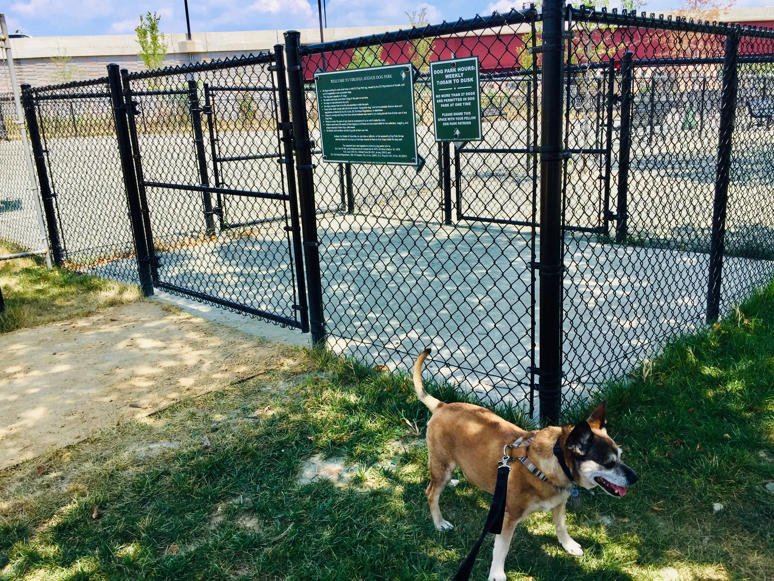 While EotR still waits for a dog park, the Virgina Avenue Dog Park is new and improved! 