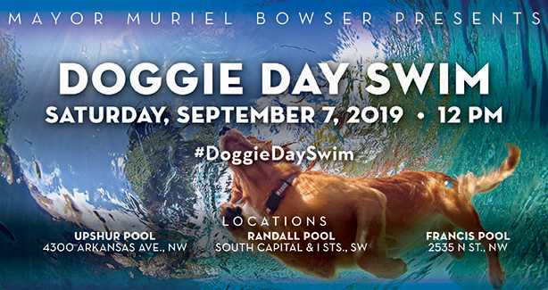DoggieDaySwimRotator2019.png