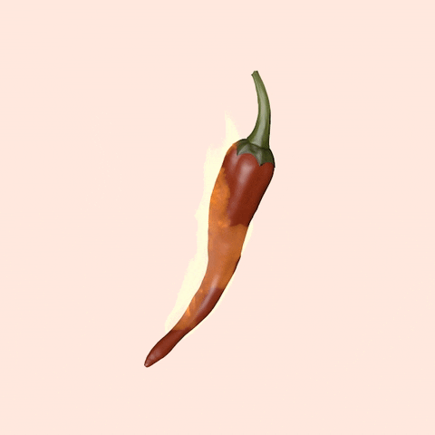 Oct 12 | Chile Pepper Celebration at the National Arboretum. - Free event! 